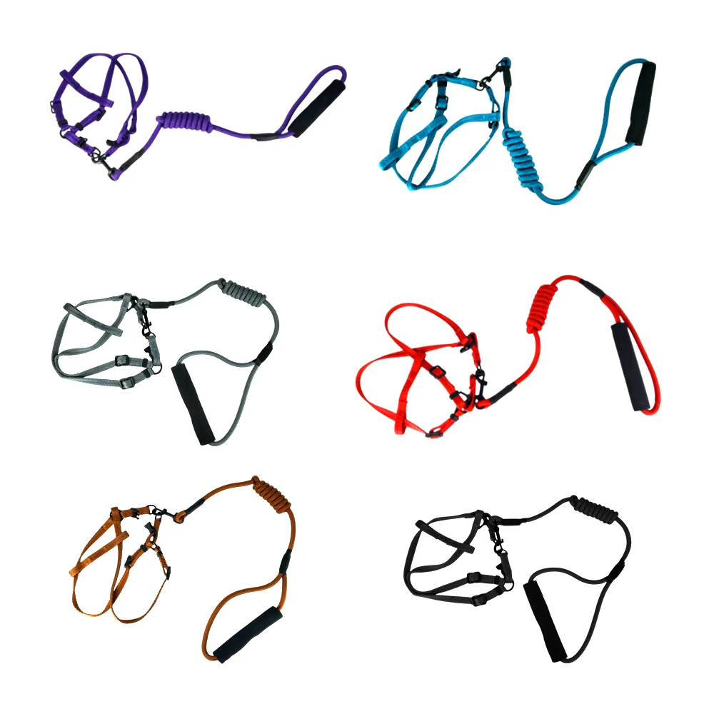 Juego de correa y pechera ajustable para mascota de talla chica, variedad de colores / high quality pet products / 18-0049