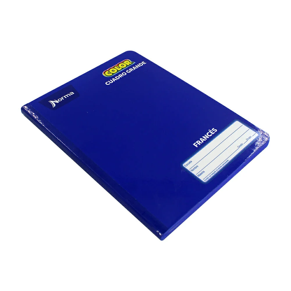 Cuaderno profesional norma color 360 cosido francés 100 hojas cuadro grande, variedad de colores