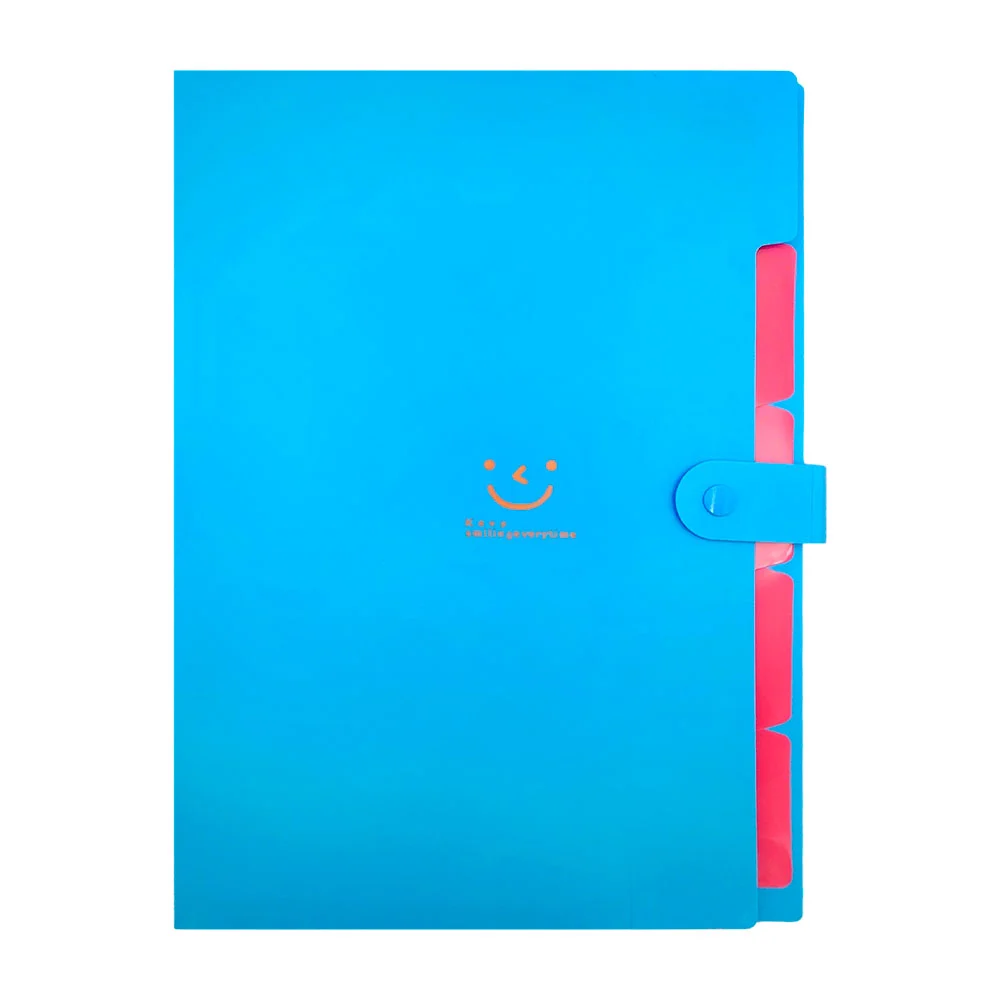 Folder recopilador de plástico con divisiones para organizar documentos, seguro de broche, variedad de colores / keep smilingeverytime / folder carita / ay-552