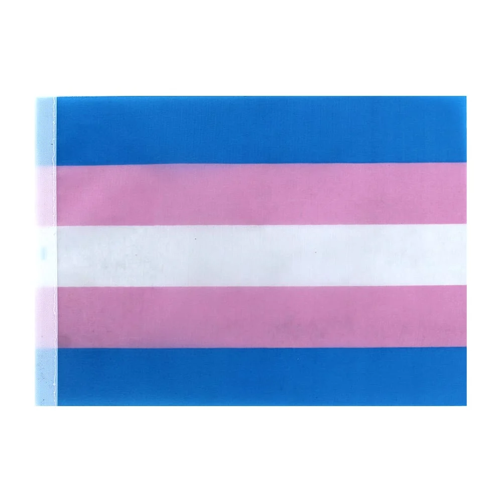 Paquete con 100 banderas de estampado representativo de la comunidad trans con espacio para mástil de 24cm / bt-1730