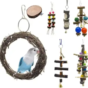 Paquete de juguetes para pájaros aves con colgantes, columpio y campa…