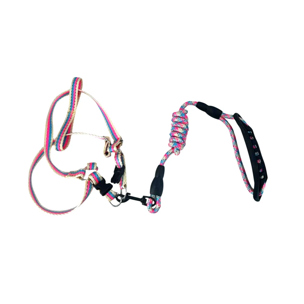 Set correa y arnés ajustable de 1.5cm con línea reflejante y 2 franjas de color para mascotas medianas, variedad de colores / 2367