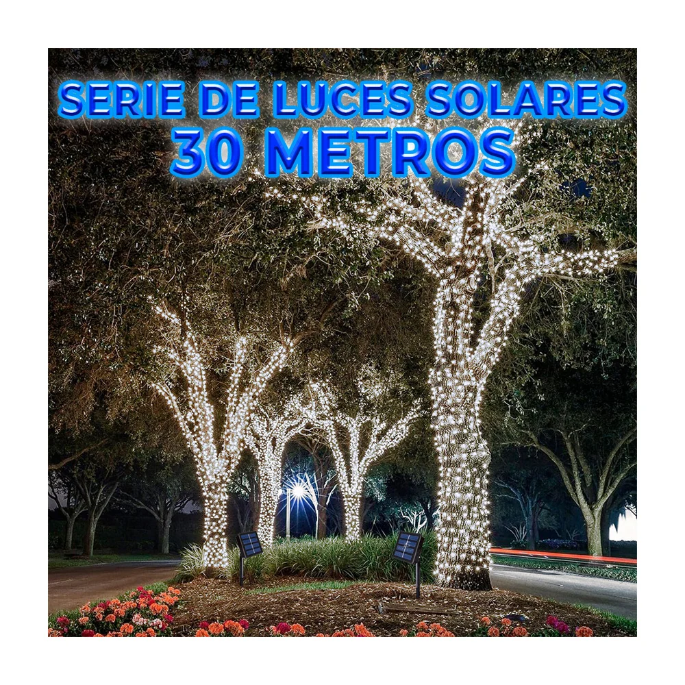 Imagen 5