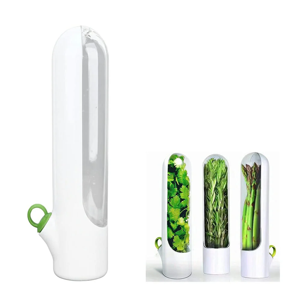 Cápsula contenedor de plástico transparente para conservar hierbas alimentos frescos / lu6119 / PAP22