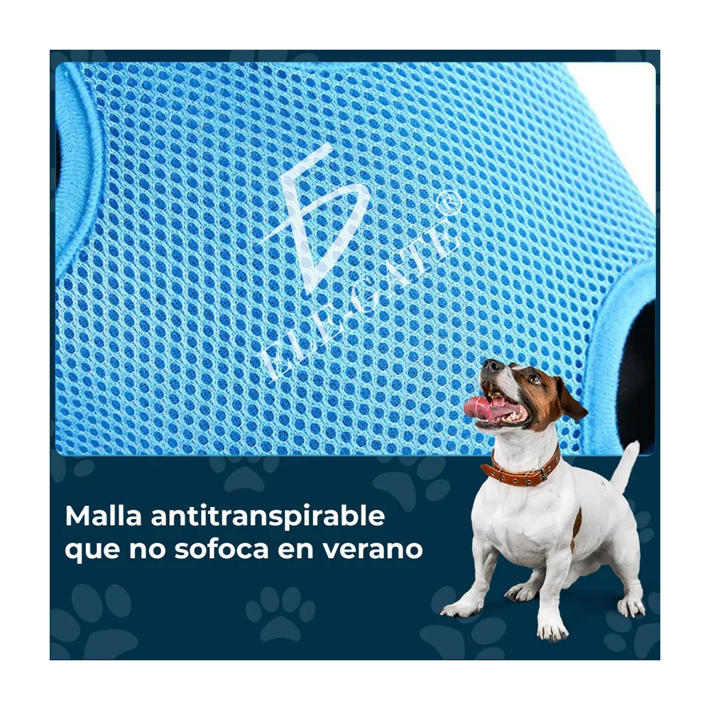 Imagen 7