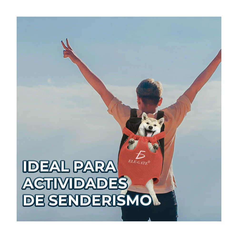 Imagen 4