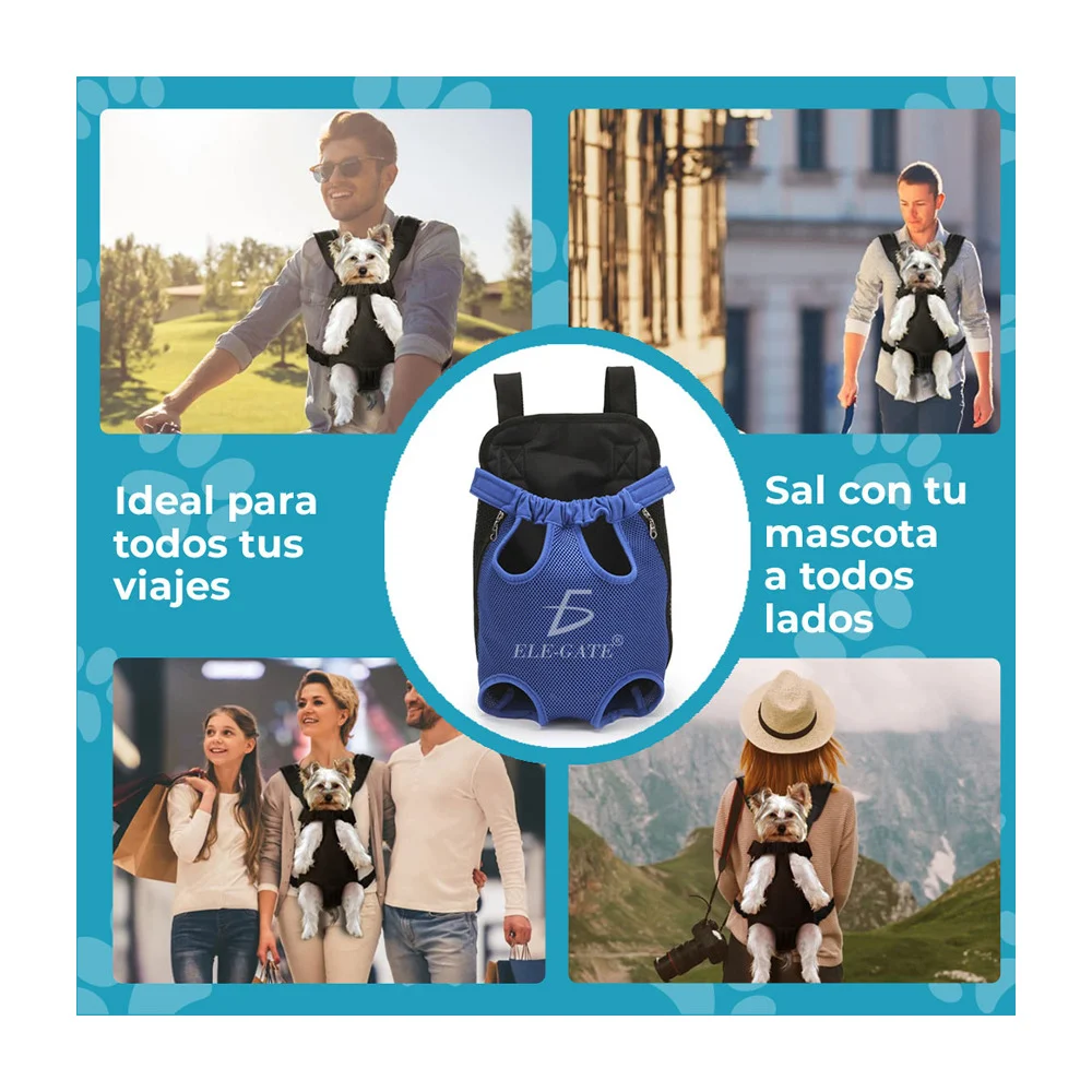 Imagen 6