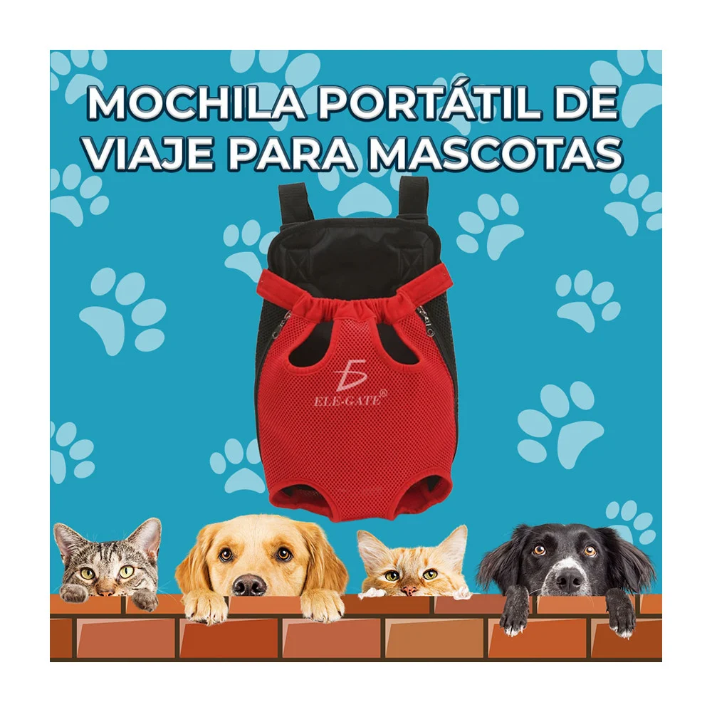 Imagen 5