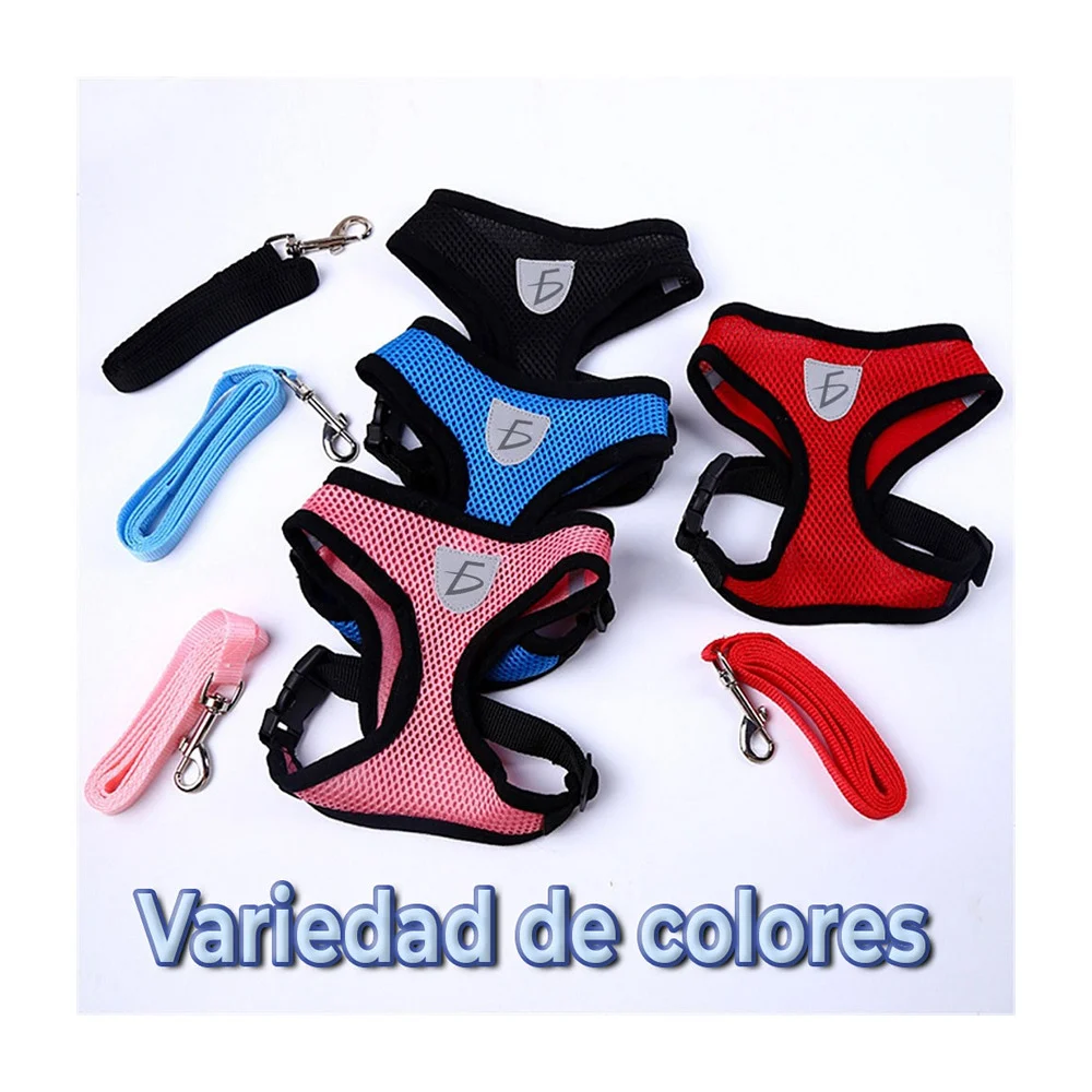Imagen 5