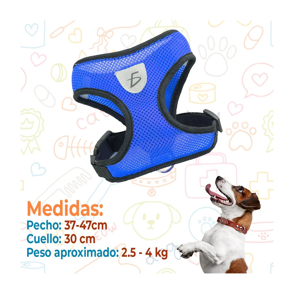 Imagen 6