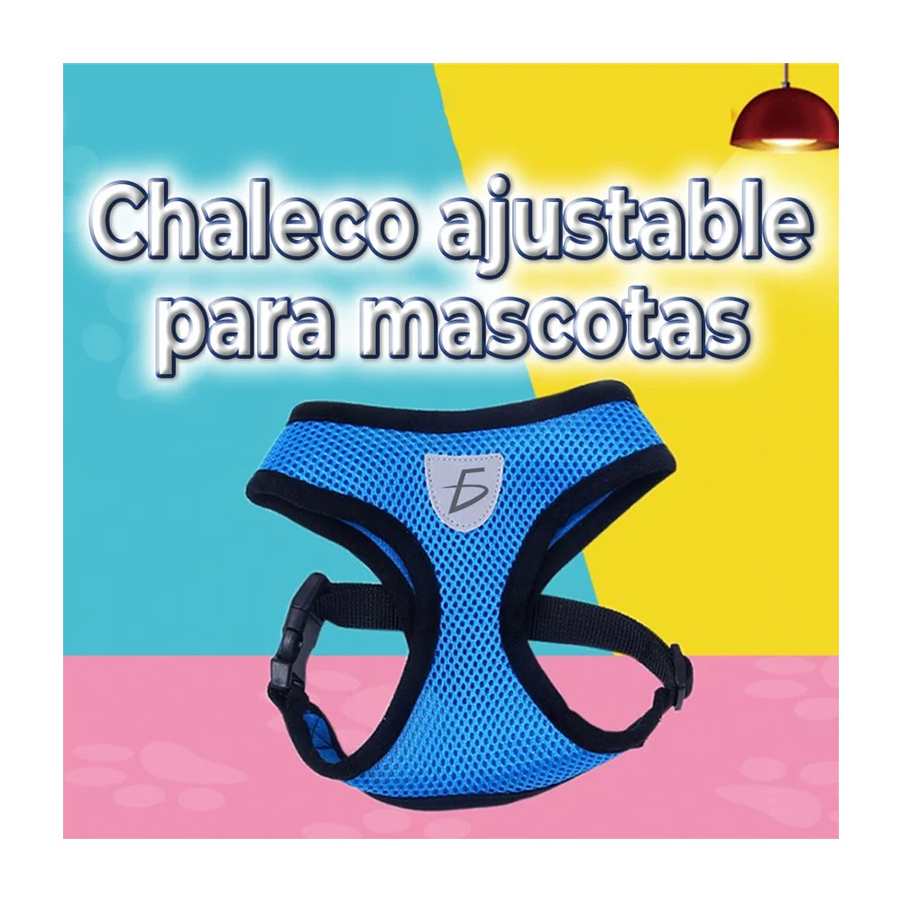 Imagen 4