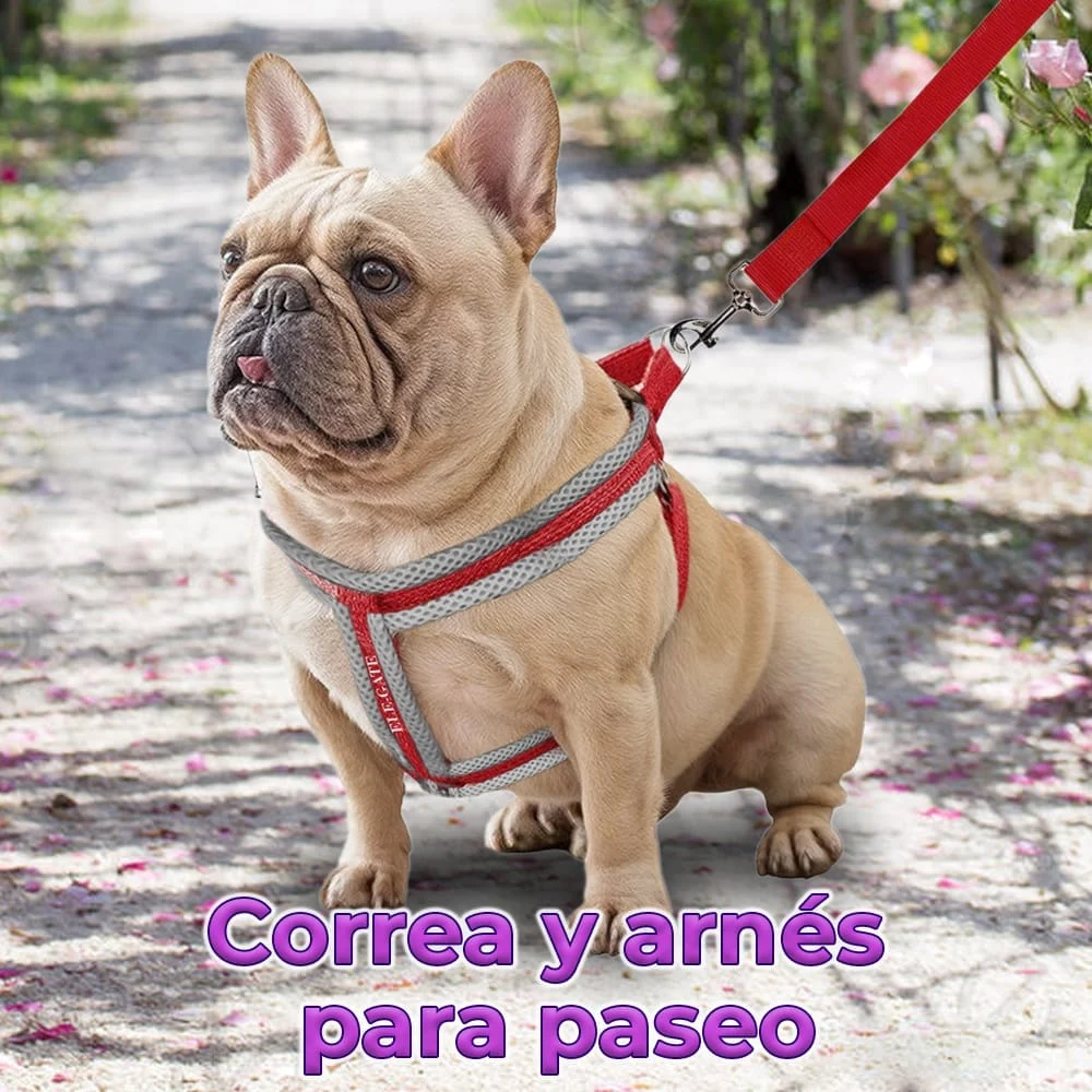 Galería