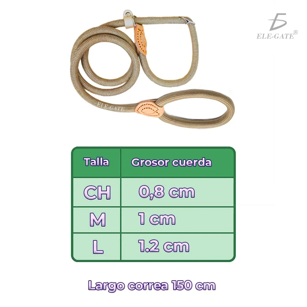 Imagen 5