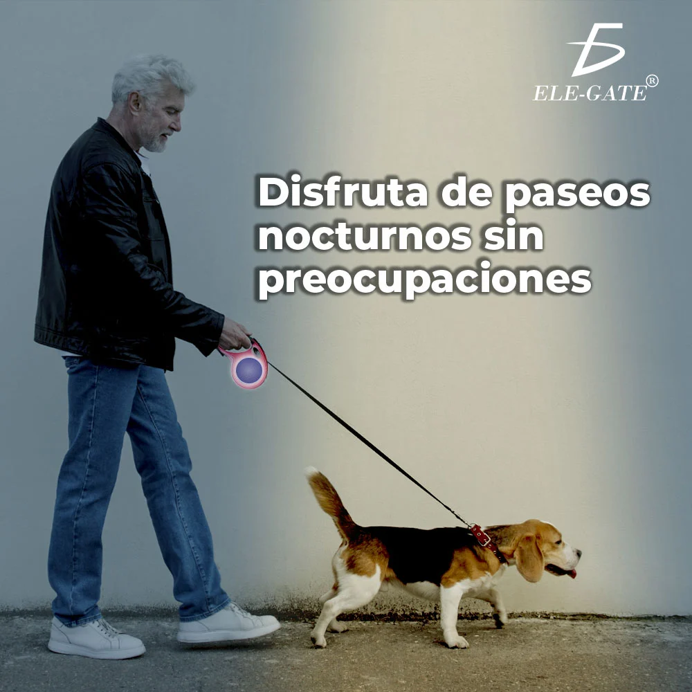 Correa retráctil pequeña con capacidad para 25 libras, largo de 3m y circulo reflejante, variedad de diseños / MAS.04.4