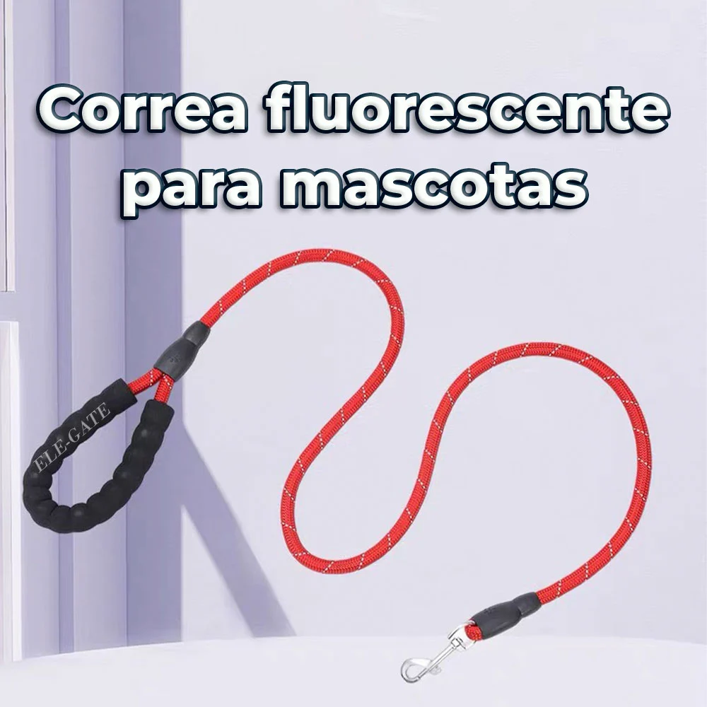 Imagen 4