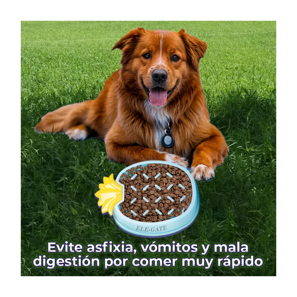 Galería