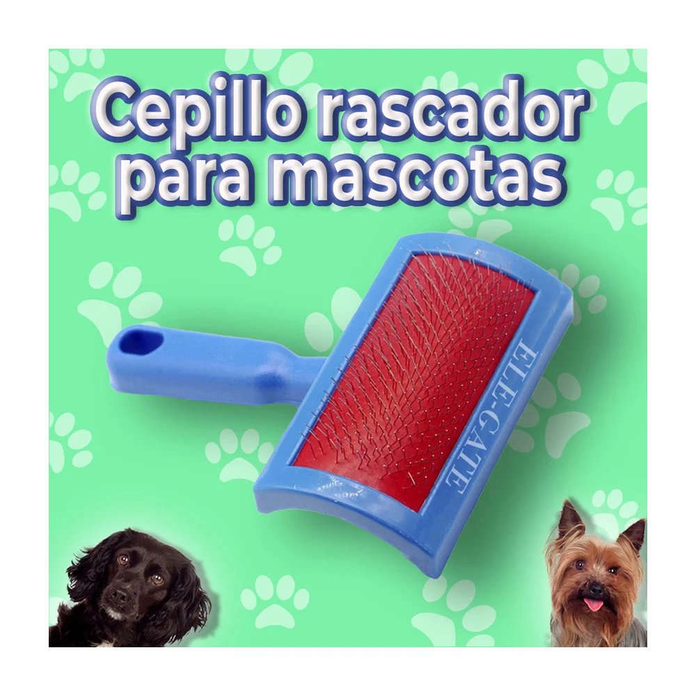 Imagen 6