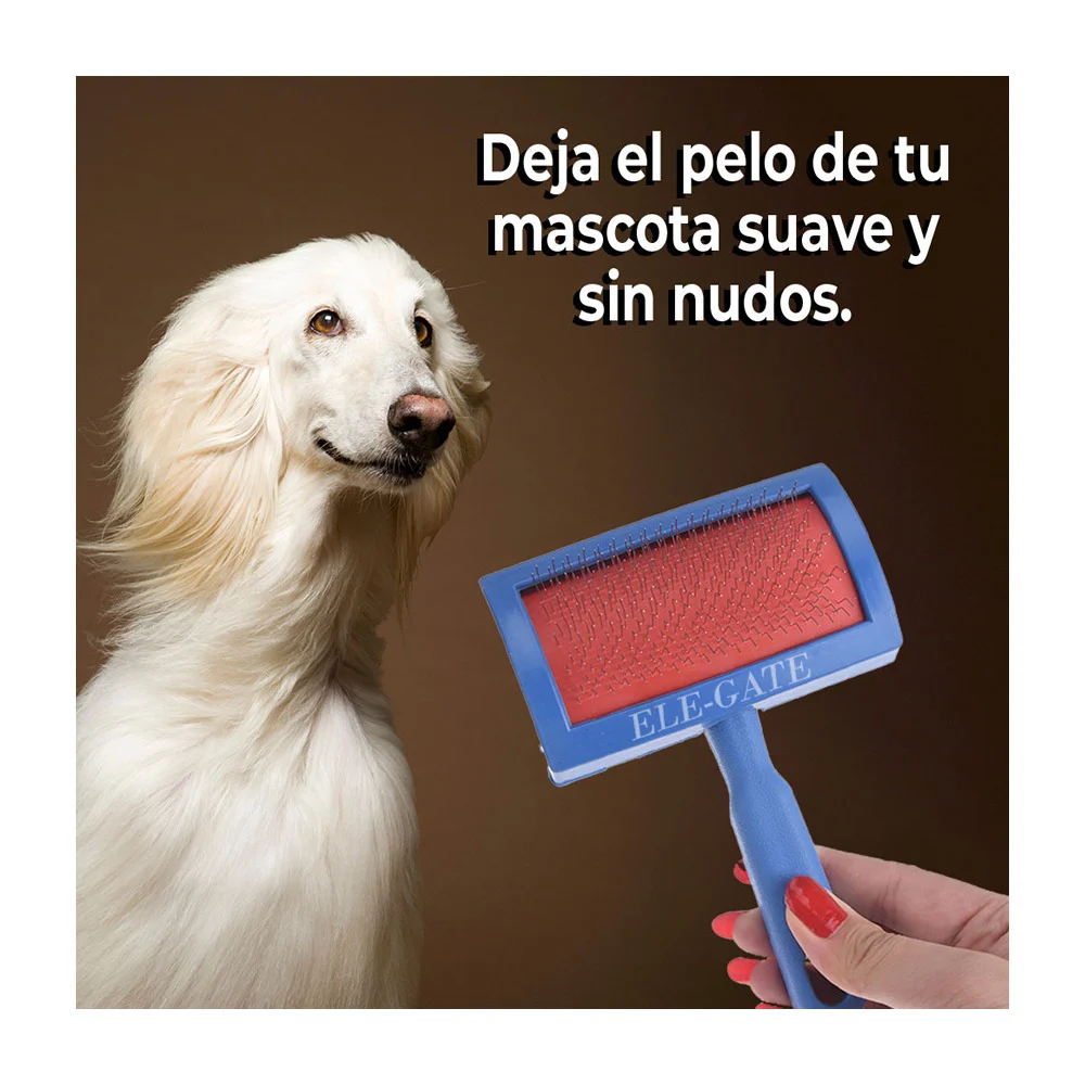 Imagen 4