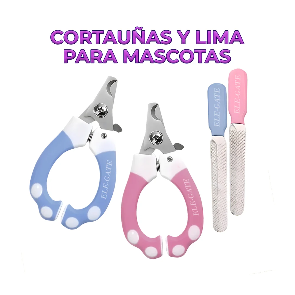 Galería