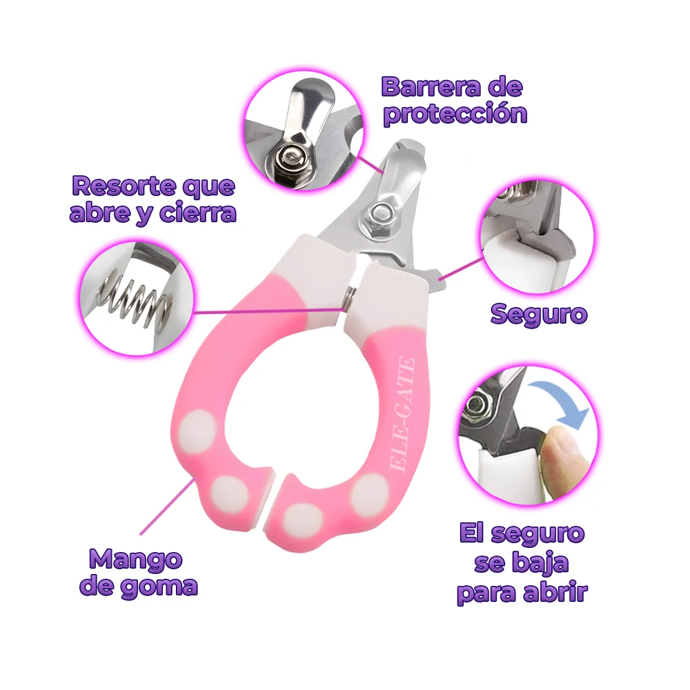Galería
