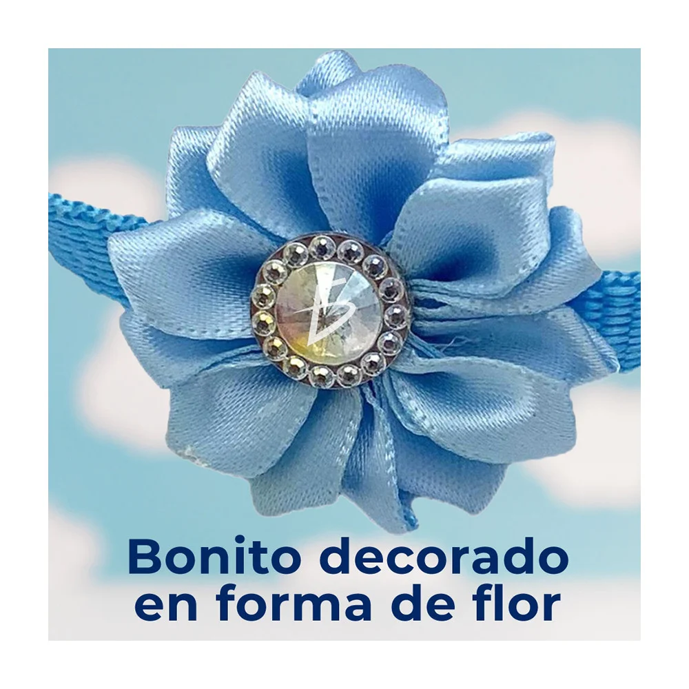Imagen 5