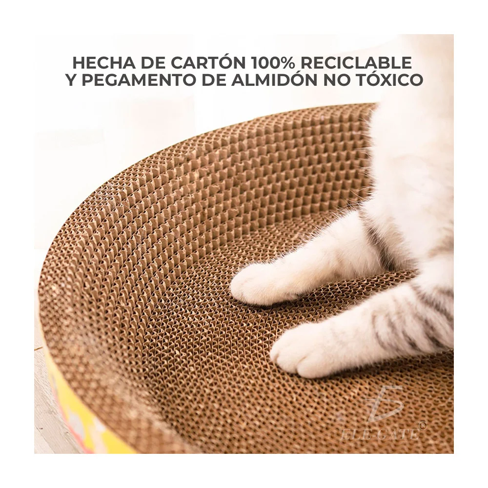 Imagen 6