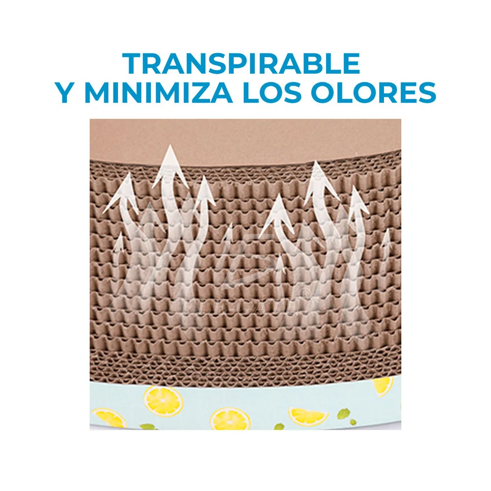 Imagen 5