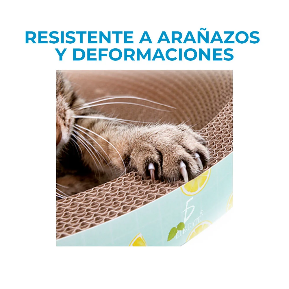 Imagen 4