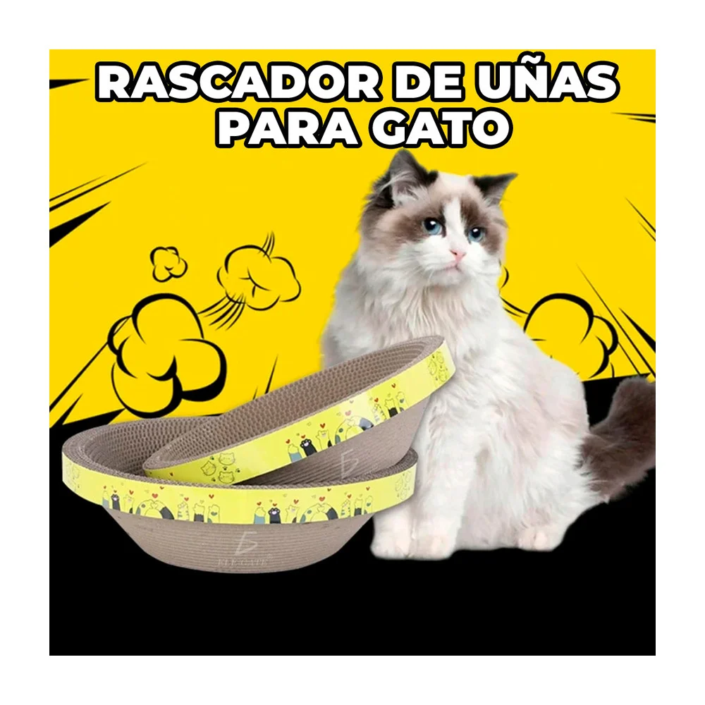 Imagen 3