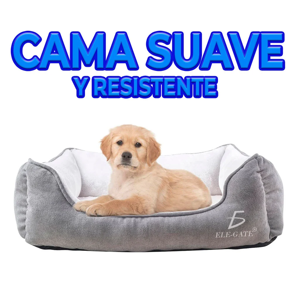 Galería