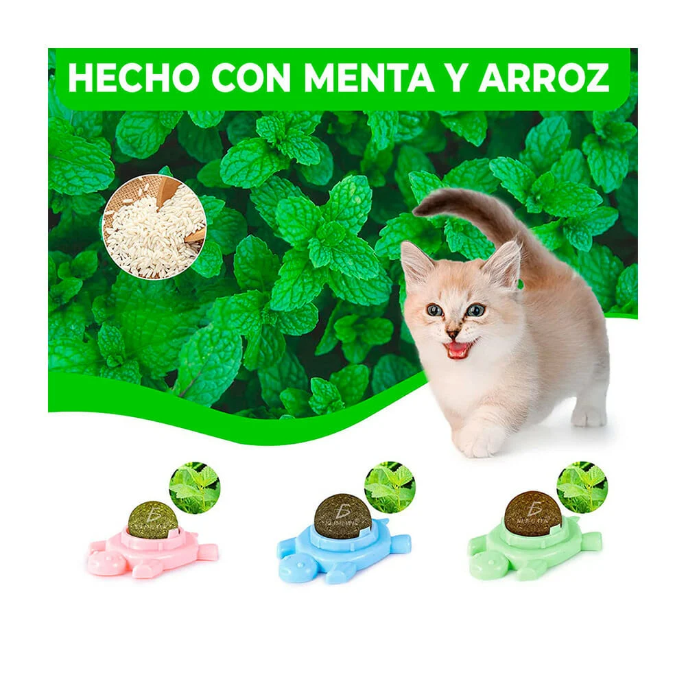 Imagen 5