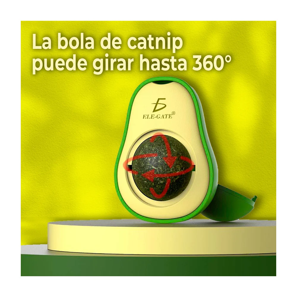 Imagen 6