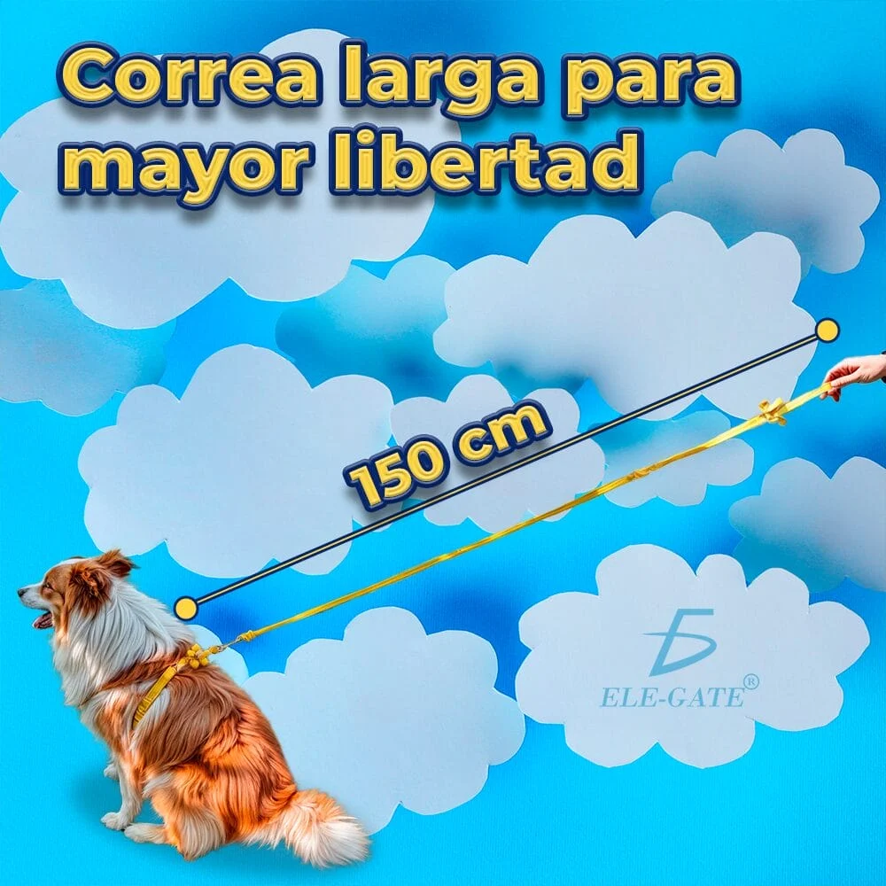 Imagen 6