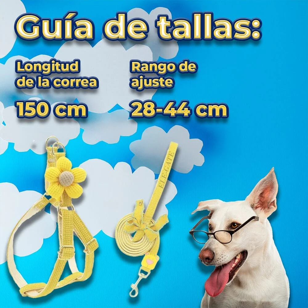 Imagen 7