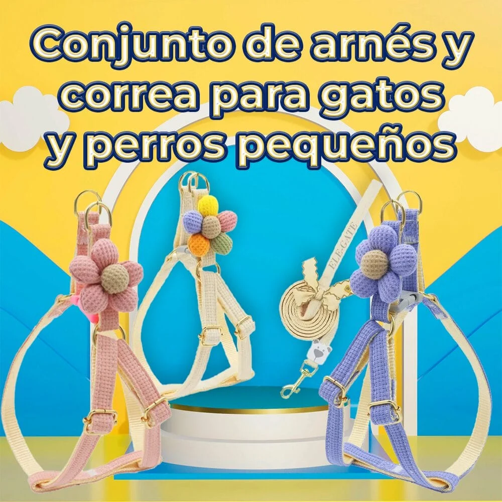 Imagen 8