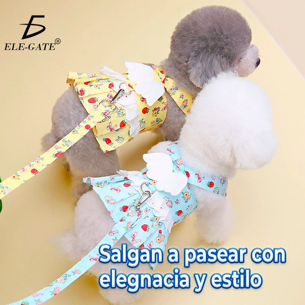Vestido arnés para perros pequeños con encaje y correa / mas.27.7