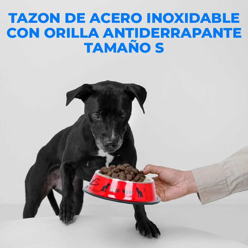 Plato chico ele-gate de acero inoxidable de 16cm para mascotas, variedad de colores / i am empty / mas.32.s