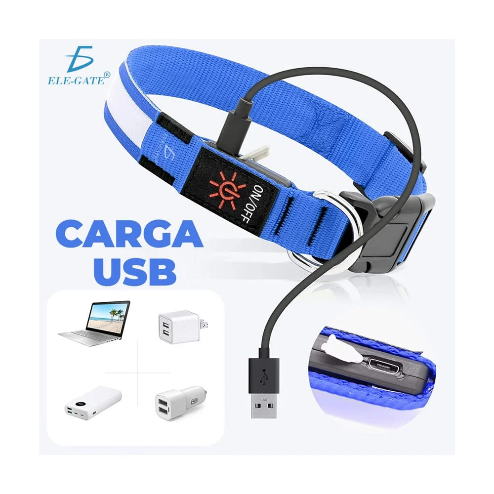 Collar con luz led recargable para mascota, variedad de colores / mas.gl.m