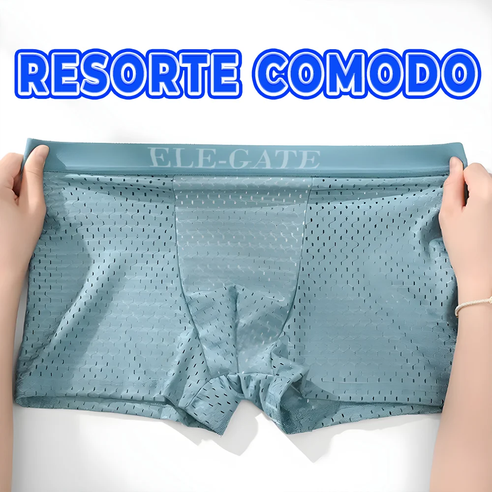Galería