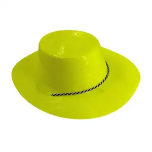 1pza Sombrero liso tipo vaquero de plástico para fiesta con agujas ra…