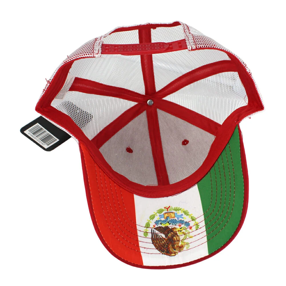 Imagen 11