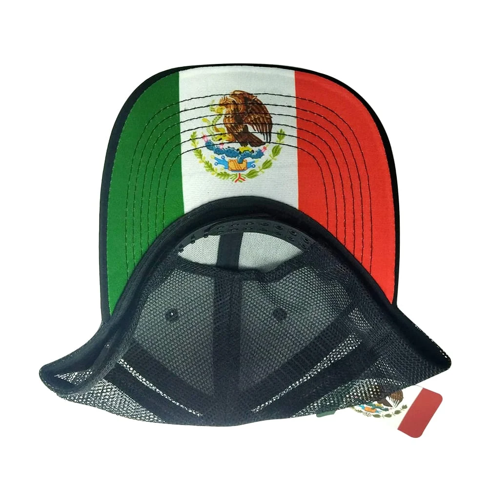 Imagen 5