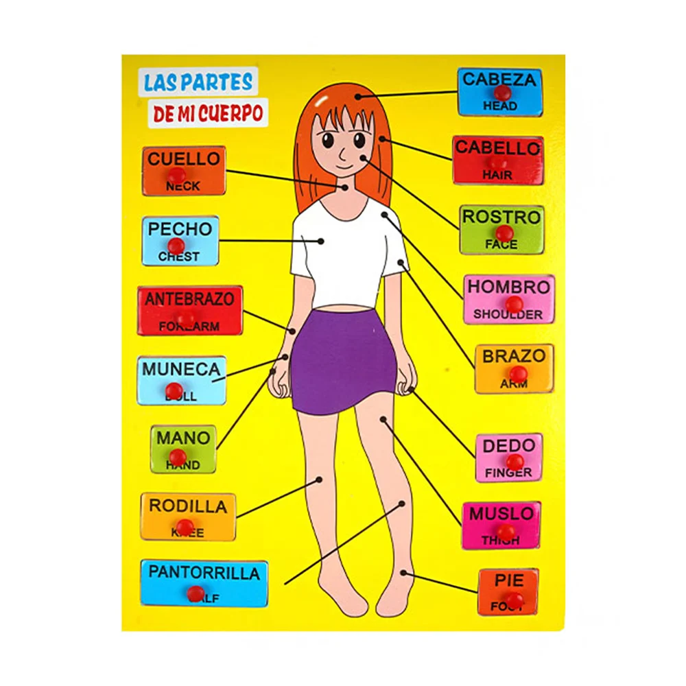 Imagen 2