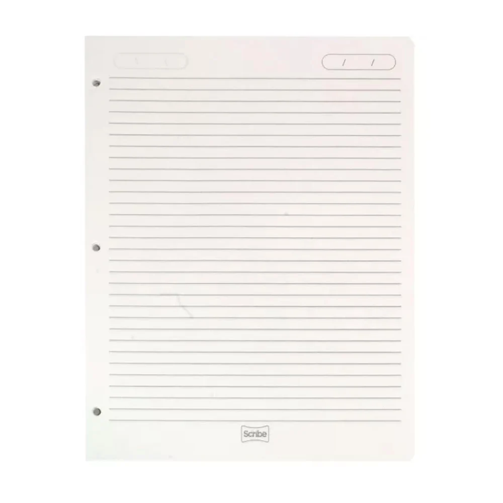 Paquete con 100 hojas de repuesto scribe, tamaño carta en raya con 3 perforaciones para recopilador / hfy-11654