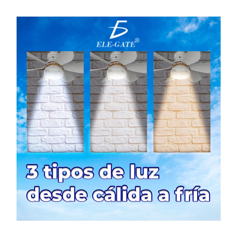 Galería