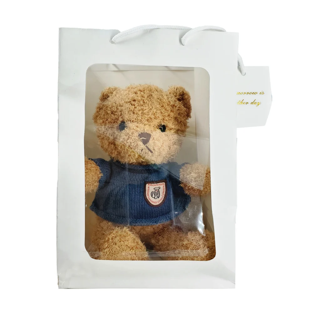 Oso de peluche con suéter en bolsa de regalo, variedad de diseños / tomorrow is another day / lu 6802