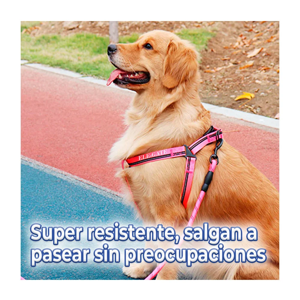 Imagen 5