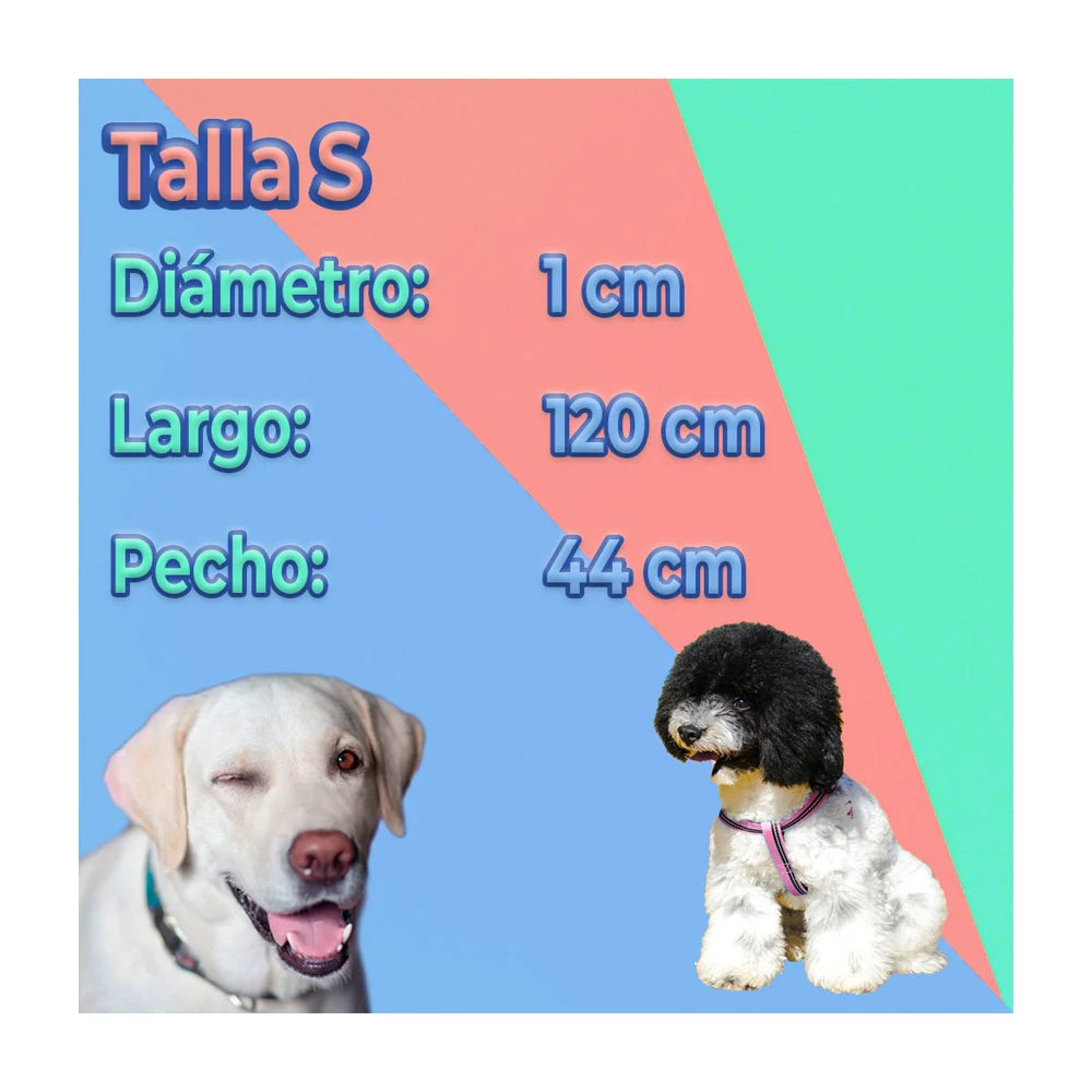 Imagen 4