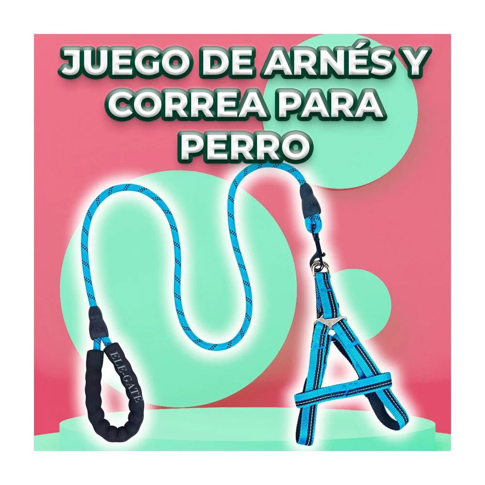 Imagen 5