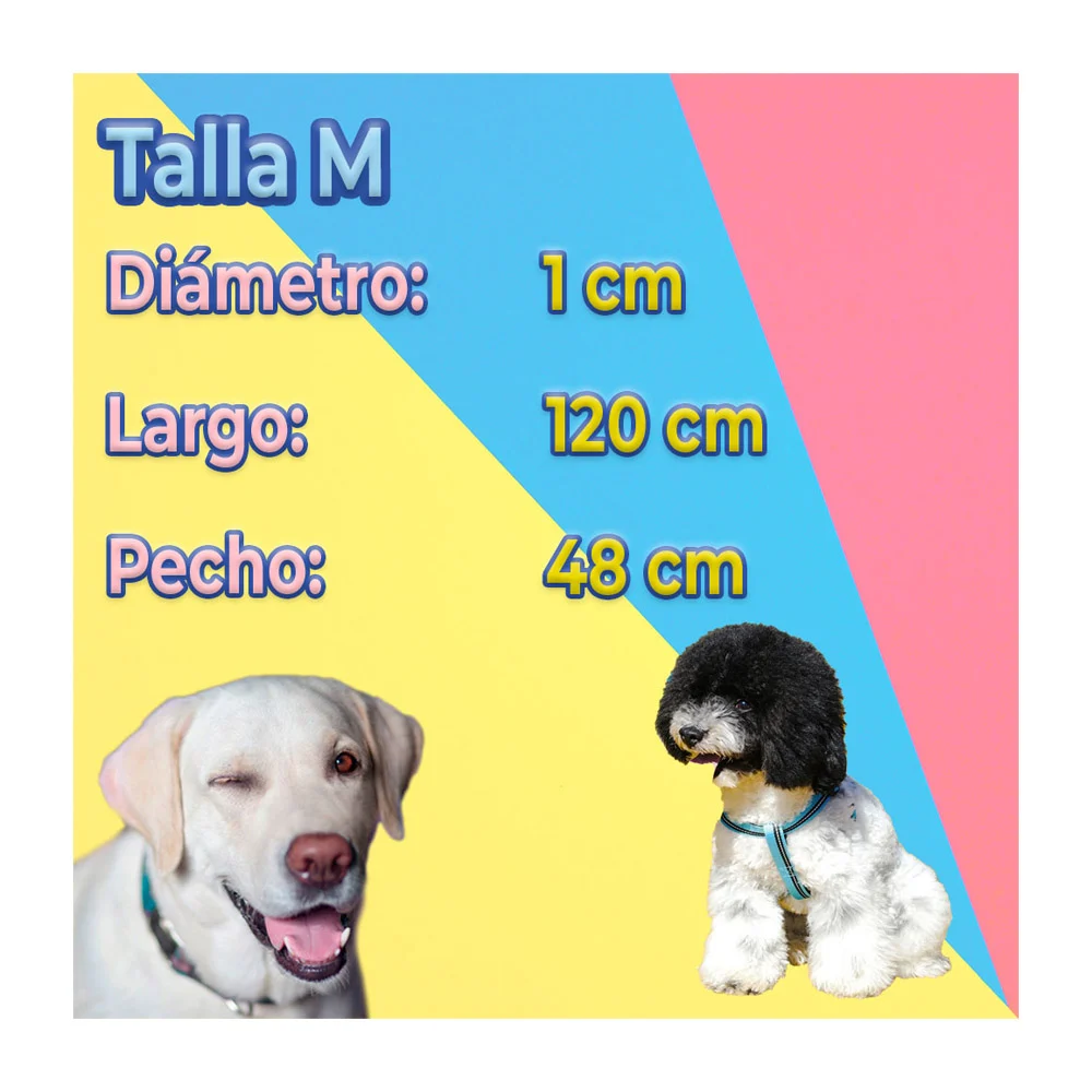 Imagen 6